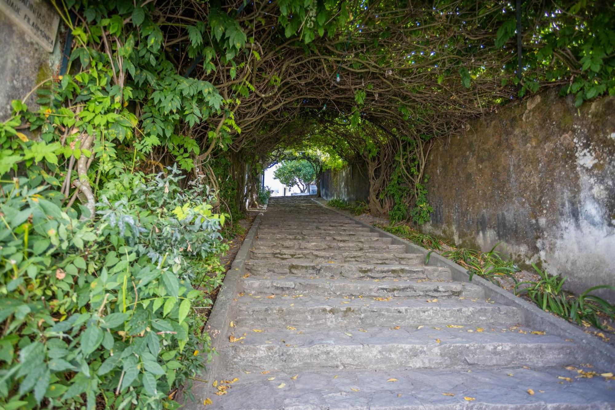 Pousada De Ourem - Fatima Buitenkant foto